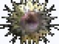 3_2
