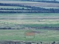 Разгром атакующих сил ВСУ
