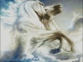 Horses new