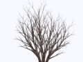 Bush1_yapfiles.ru