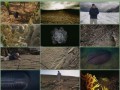 BBC.David.Attenboroughs.First.Life.1of2.Arrival.PDTV.XviD.MVGroup
