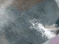 -медведь-гифки-живность-3786553