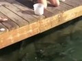Телефон упал