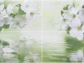 c1e253d6807f955c87009fa770e9be8e