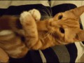 tumblr_o2jwgoXdzV1tlb56zo1_400