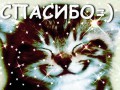 спасибо