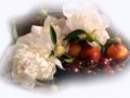 fon_4_2_arnusha