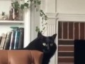 хм