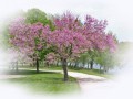 0001_hatternelk_tajkep())