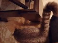 Знакомьтесь - Валерий!