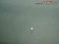 Два человека убились, прыгнув с моста