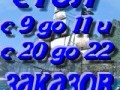 zak_pal2
