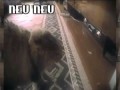 NONONONO Cat (Jake Benson Remix)