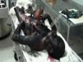 Burnt And Rotting Corpse...