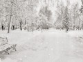 -имени-1zima