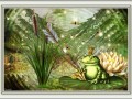 12.01.2023 A frog, almost a princess