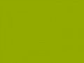 Яркий желто-зеленый	#93AA00	147	170	0