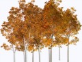 9_yapfiles.ru