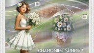 CHAMOMILE SUMMER1
