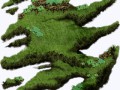 bush_3
