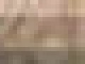 4__arnusha