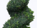0_f3ed4_56a8f6cb_orig[1]