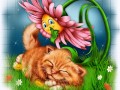 3кот и сон