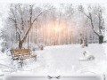 -кошка-зима-Рамочка_01