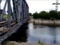 ЧАЭС. Кормление сомов в подводящем канале пруда-охладителя. Catfish, Chernobyl, Pripyat