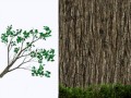 tree_01_li[1].pngдрево