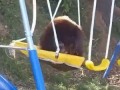 Мишка на качеле