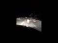 Микунь волк