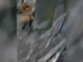 Очередные повара и охранники попали в плен