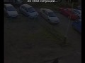 Выезд с парковки (девушка)