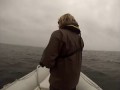 Blue Whale Capsizes Boat In California