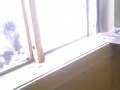 медведь залез в бытовку