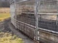 аттракцион