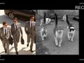 Коты,  как мужчины,  а мужчины - как коты