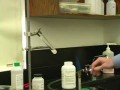 Potassium Chlorate and Gummy Bear