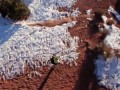 Самые безумные качели в мире