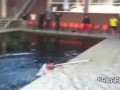 ПРИКОЛЫ 2014г