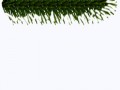 optimized-7gue