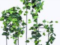 _na_stoikah_yapfiles.ru