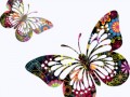 da6fafeb9f0456b38a0d2b6ccc7b5ae1