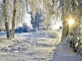 146490728_image