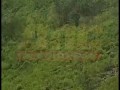 Покатались? называется, экстремально... Говорят все живы