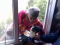 Удачно заглянул