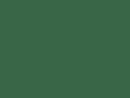 Умеренный зеленый	#386646	56	102	70