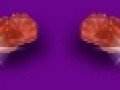5__arnusha