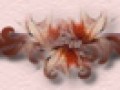 _1_arnusha